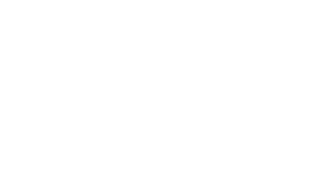 Orange Sunshine Photography